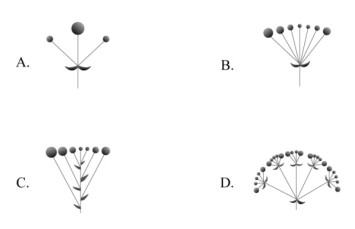 2020年國家公務(wù)員考試行測真題及答案（地市級）